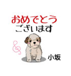 小坂さんが使う名前スタンプ・子犬イラスト（個別スタンプ：15）
