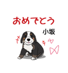 小坂さんが使う名前スタンプ・子犬イラスト（個別スタンプ：16）
