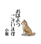 小坂さんが使う名前スタンプ・子犬イラスト（個別スタンプ：17）