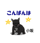 小坂さんが使う名前スタンプ・子犬イラスト（個別スタンプ：20）