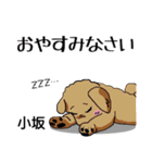 小坂さんが使う名前スタンプ・子犬イラスト（個別スタンプ：21）