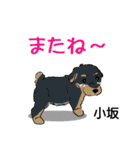 小坂さんが使う名前スタンプ・子犬イラスト（個別スタンプ：23）