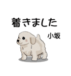 小坂さんが使う名前スタンプ・子犬イラスト（個別スタンプ：27）