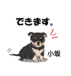 小坂さんが使う名前スタンプ・子犬イラスト（個別スタンプ：28）