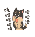 Super Idol Daji ＆ Binbo from DOGCATSTAR（個別スタンプ：2）