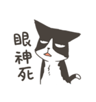 Super Idol Daji ＆ Binbo from DOGCATSTAR（個別スタンプ：6）