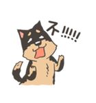 Super Idol Daji ＆ Binbo from DOGCATSTAR（個別スタンプ：7）