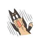Super Idol Daji ＆ Binbo from DOGCATSTAR（個別スタンプ：12）