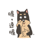 Super Idol Daji ＆ Binbo from DOGCATSTAR（個別スタンプ：15）