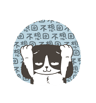 Super Idol Daji ＆ Binbo from DOGCATSTAR（個別スタンプ：16）