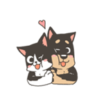 Super Idol Daji ＆ Binbo from DOGCATSTAR（個別スタンプ：17）