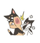 Super Idol Daji ＆ Binbo from DOGCATSTAR（個別スタンプ：18）