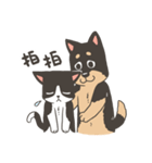 Super Idol Daji ＆ Binbo from DOGCATSTAR（個別スタンプ：19）