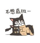 Super Idol Daji ＆ Binbo from DOGCATSTAR（個別スタンプ：20）