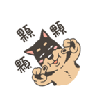 Super Idol Daji ＆ Binbo from DOGCATSTAR（個別スタンプ：21）