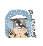 Super Idol Daji ＆ Binbo from DOGCATSTAR（個別スタンプ：23）