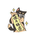Super Idol Daji ＆ Binbo from DOGCATSTAR（個別スタンプ：29）