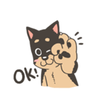 Super Idol Daji ＆ Binbo from DOGCATSTAR（個別スタンプ：31）