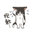 Super Idol Daji ＆ Binbo from DOGCATSTAR（個別スタンプ：33）