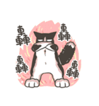 Super Idol Daji ＆ Binbo from DOGCATSTAR（個別スタンプ：35）
