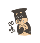 Super Idol Daji ＆ Binbo from DOGCATSTAR（個別スタンプ：36）