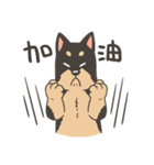 Super Idol Daji ＆ Binbo from DOGCATSTAR（個別スタンプ：37）