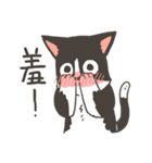 Super Idol Daji ＆ Binbo from DOGCATSTAR（個別スタンプ：38）