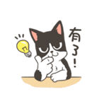 Super Idol Daji ＆ Binbo from DOGCATSTAR（個別スタンプ：40）