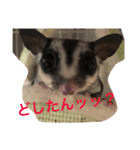 Meichan.6u6.（個別スタンプ：4）