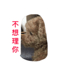 my pet bobo3（個別スタンプ：4）