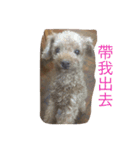 my pet bobo3（個別スタンプ：6）