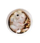 Cute Hamster Hamster（個別スタンプ：2）