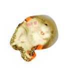 Cute Hamster Hamster（個別スタンプ：3）