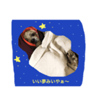 どんどんチーフ（個別スタンプ：4）