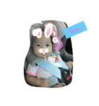 Smile#1（個別スタンプ：34）
