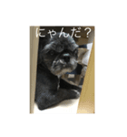 りくとかい（個別スタンプ：5）