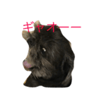 りくとかい（個別スタンプ：11）