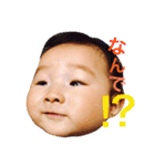 ハルさんスタンプ（個別スタンプ：19）