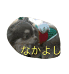 ハムスターの大福ちゃん（個別スタンプ：15）