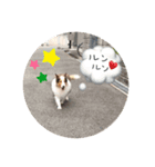 あっちゃん.アトム（個別スタンプ：3）