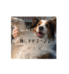 あっちゃん.アトム（個別スタンプ：5）