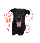 buddy dailyy（個別スタンプ：2）