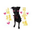 buddy dailyy（個別スタンプ：6）