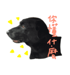 buddy dailyy（個別スタンプ：8）