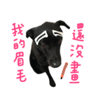 buddy dailyy（個別スタンプ：10）