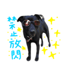 buddy dailyy（個別スタンプ：11）