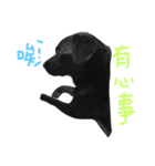buddy dailyy（個別スタンプ：18）
