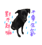 buddy dailyy（個別スタンプ：19）