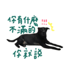buddy dailyy（個別スタンプ：22）