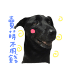 buddy dailyy（個別スタンプ：23）